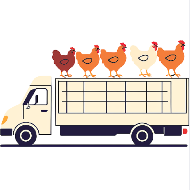 活禽運輸遠程溫度監控