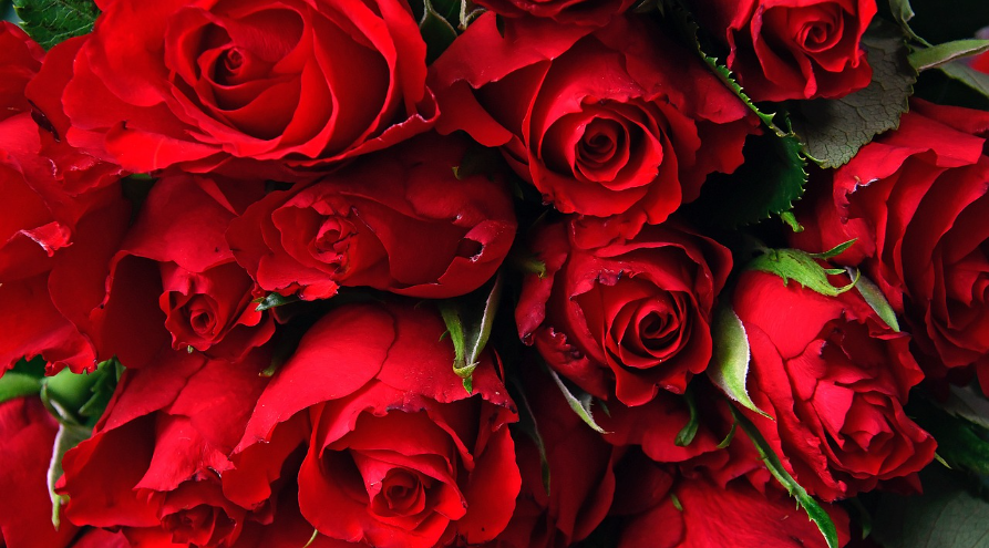 冷鏈溫度監控|4G車(chē)載視頻監控|貨車(chē)油量監控 冷鏈溫度監控|4G車(chē)載視頻監控|貨車(chē)油量監控