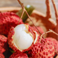 水果運輸的溫度保衛戰：從冷鏈斷鏈到全程精確監控