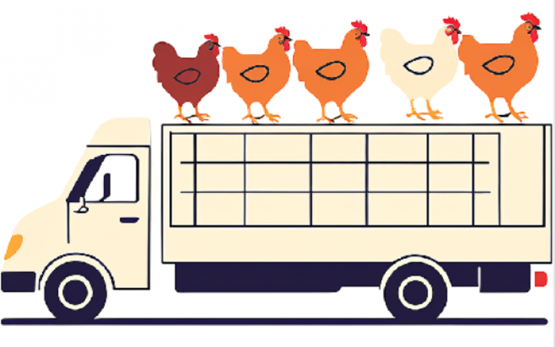 活禽運輸遠程溫度監控